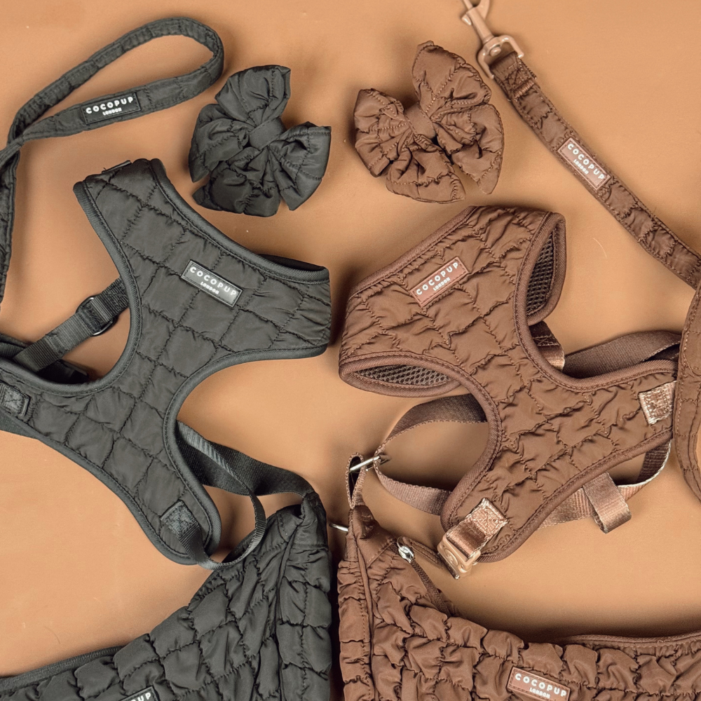 Espresso Quilted Adjustable Neck Harness, Lead & Collar Bundle
